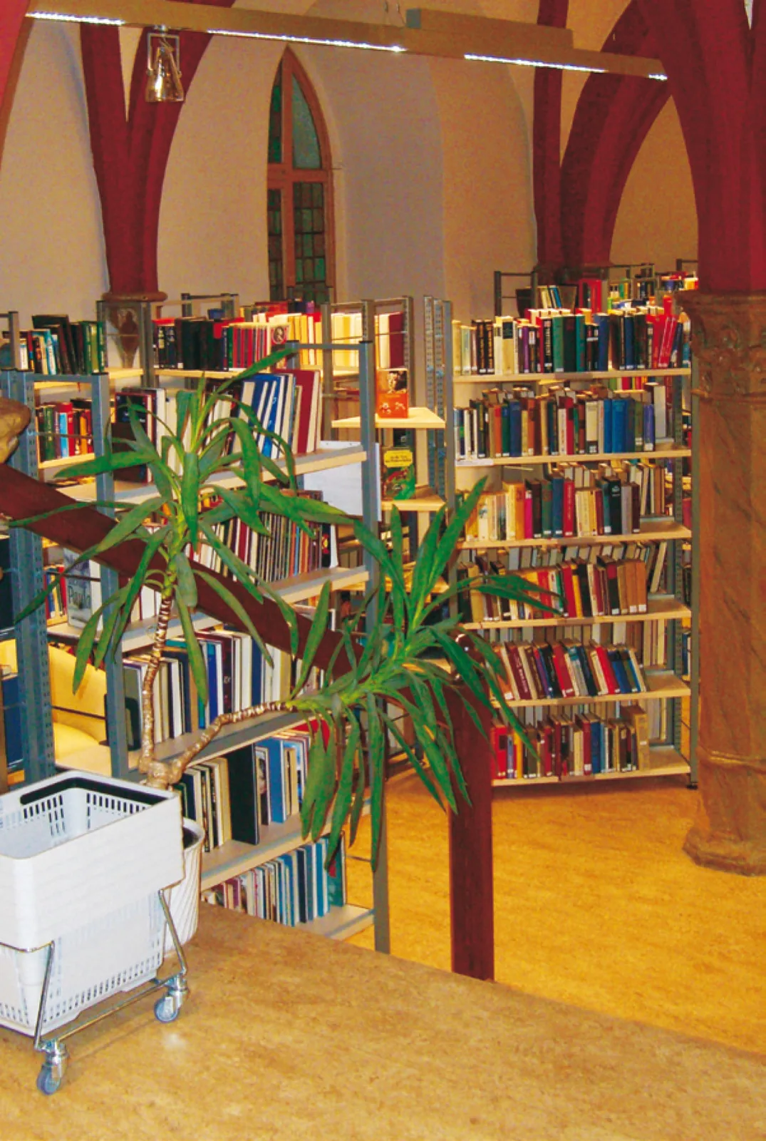 Harmonische Ausgestaltung des Gewölbes — Stadtbibliothek Stadtilm, Stadtilm